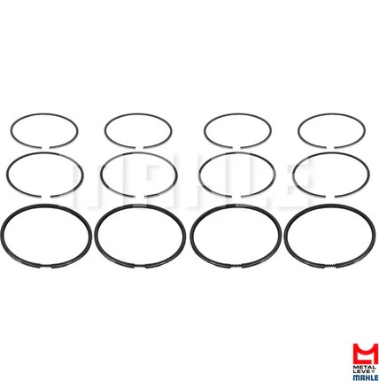 SEGMENTO MOTOR(050)